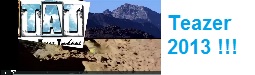 Teazer 2013