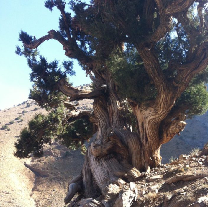 photo-82-e1381078910824