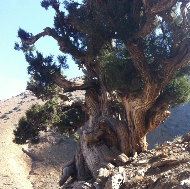 photo-82-e1381078910824